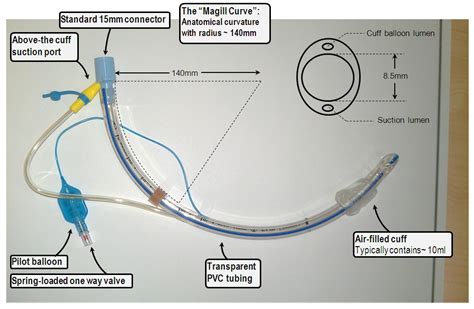 eut tube|EUT .